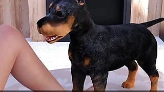 xnxx 47